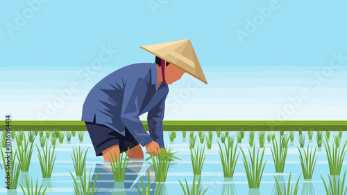 Person farmer tending rice seedlings in a flooded field under clear blue sky.