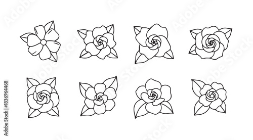 Decorative floral corner accents elegant rose line art elements for elegant design projects vector