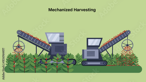 Industrial Mechanized Harvesting on a Modern Farm with Conveyors and Machines.