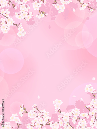 さくらのフレーム⑰縦_上下_ピンク_影