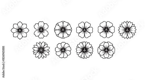 Collection of delicate black and white floral designs with intricate petal details vector