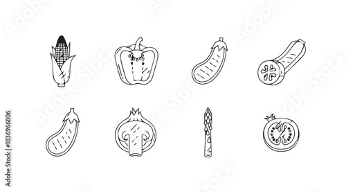 Hand drawn sketch collection of fresh organic vegetables for healthy cooking and food design vector