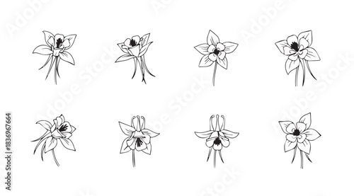 Set of eight elegant hand-drawn floral wreaths with delicate petals and leaves vector