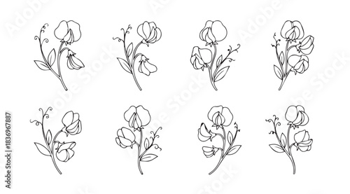 Collection of delicate hand drawn botanical sketches of floral buds and blooms in outline style vector