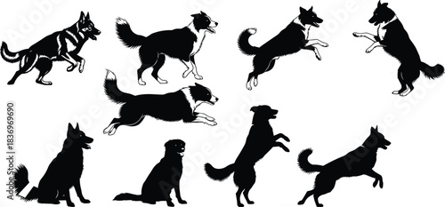 Set of Nine Stylized Black Silhouette Vector Dogs of Different Breeds and Poses, Ideal for Pet, Animal, and Veterinary Graphic Design.