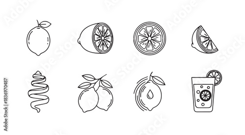 Collection of fresh citrus fruits and beverage elements for design and branding projects vector