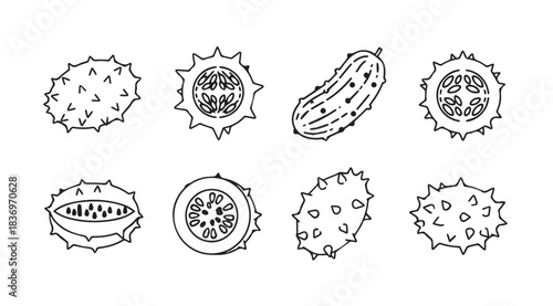Hand drawn botanical illustrations of cucumbers and gherkins varieties seed pods and cut slices vector