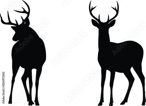 Silhouette of two male deer with antlers, wildlife illustration, forest animal graphic, mature bucks, nature art, hunting theme, vector
