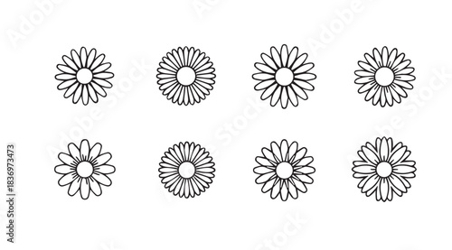 Collection of delicate hand-drawn daisies offering floral design elements for spring and summer vector