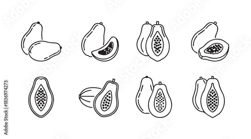 Collection of hand-drawn papaya illustrations showing whole fruit and slices in sketchy style vector