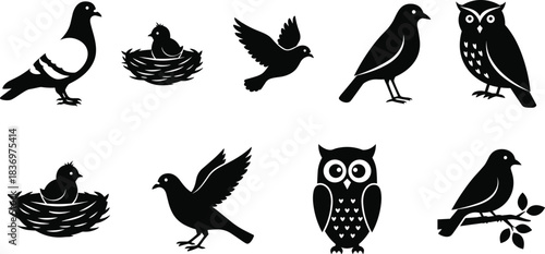 Collection of Black Vector Bird Silhouettes Featuring Owls, Doves, Chicks in Nests, and Small Perching Birds for Nature, Wildlife, and Graphic Design Projects.
