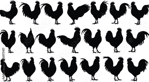 Collection of Diverse Rooster and Cock Silhouettes Vector Set; Ideal for Farm, Poultry, Food Packaging Logos, and Agricultural Business Graphic Design Concepts on White Background.