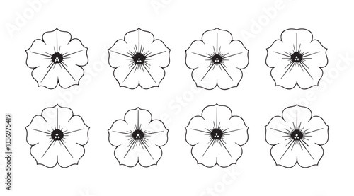 Collection of eight delicate line art petunia flower outlines each unique in detail and form vector