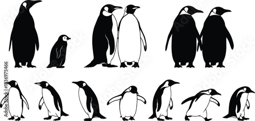 Diverse Collection of Penguin Silhouettes and Black and White Vector Illustrations, Featuring Adults and Chicks in Various Poses, Perfect for Nature, Wildlife, and Antarctic Themes.
