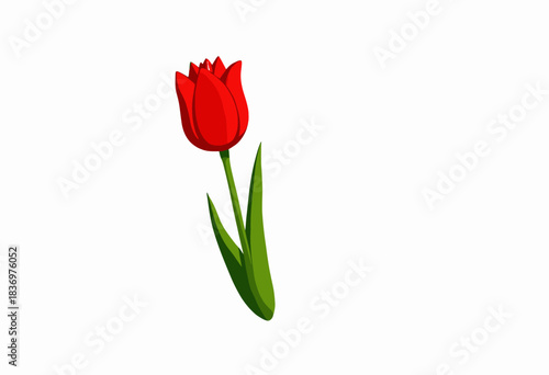 Vibrant red tulip illustration with a single stem and green leaves on a minimalistic white background emphasizing simplicity and nature's elegance