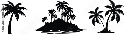 Tropical leaves vector. Set of palm leaves silhouettes isolated on white background. vector set of tropical leaves with a simple silhouette style.Collection of black silhouette tropical leaves 