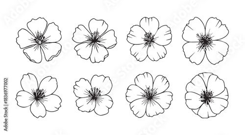 Hand drawn sketch collection of eight delicate floral blossoms artistic botanical elements vector