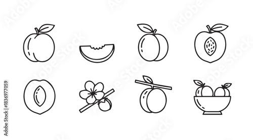Hand drawn sketchy outline icons of peaches and peach slices with leaves and branches vector