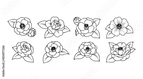 Artistic outline flower arrangements delicate hand drawn floral elements for elegant design projects vector