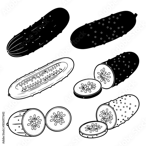 Collection of line art illustrations of fresh cucumbers, whole, sliced, and halved, showcasing their texture and seeds