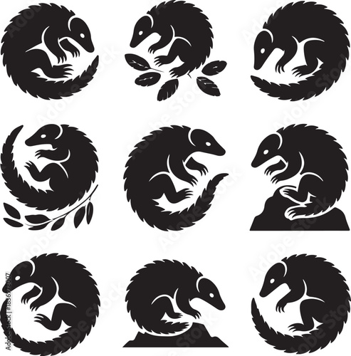 Black and white pangolin vector set in different poses art
