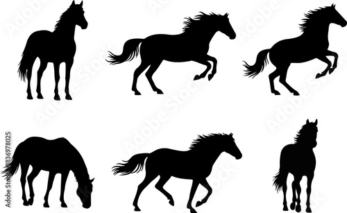 Set of six distinct horse silhouettes in various dynamic poses, showcasing the elegance and power of these magnificent animals in silhouette art