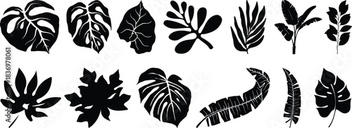 Tropical leaves vector. Set of palm leaves silhouettes isolated on white background. vector set of tropical leaves with a simple silhouette style.Collection of black silhouette tropical leaves 