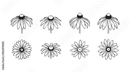 Set of eight black and white daisy flowers in various artistic sketch styles vector