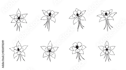 Collection of delicate line art daffodil flower designs for elegant floral artistry vector