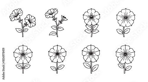 Collection of delicate hand-drawn floral designs with stems and leaves for artistic projects vector