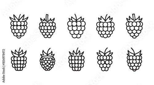 Hand drawn raspberry icons set simple sketch style healthy food graphics for your designs vector