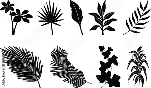 Tropical leaves vector. Set of palm leaves silhouettes isolated on white background. vector set of tropical leaves with a simple silhouette style.Collection of black silhouette tropical leaves 