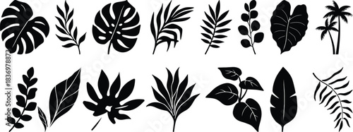 Tropical leaves vector. Set of palm leaves silhouettes isolated on white background. vector set of tropical leaves with a simple silhouette style.Collection of black silhouette tropical leaves 