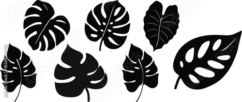 Tropical leaves vector. Set of palm leaves silhouettes isolated on white background. vector set of tropical leaves with a simple silhouette style.Collection of black silhouette tropical leaves 