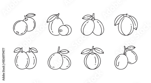Collection of hand drawn fruit icons featuring plums peaches and apricots sketch style vector