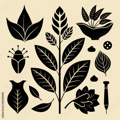 Collection of black botanical and insect icons on a light background