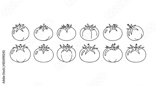 Set of hand drawn tomato icons fresh organic vegetables sketch artistic food collection vector