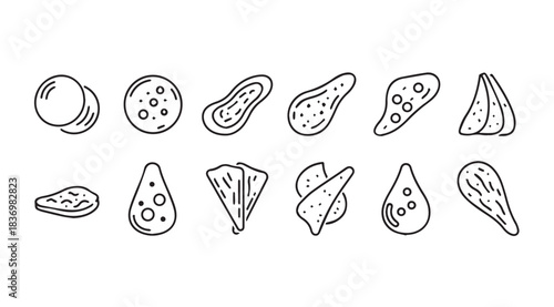 Set of hand drawn whisk shapes and forms food ingredients doodle style isolated on white vector