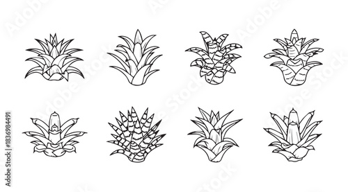 Set of decorative floral elements line art botanical ornaments for design projects vector