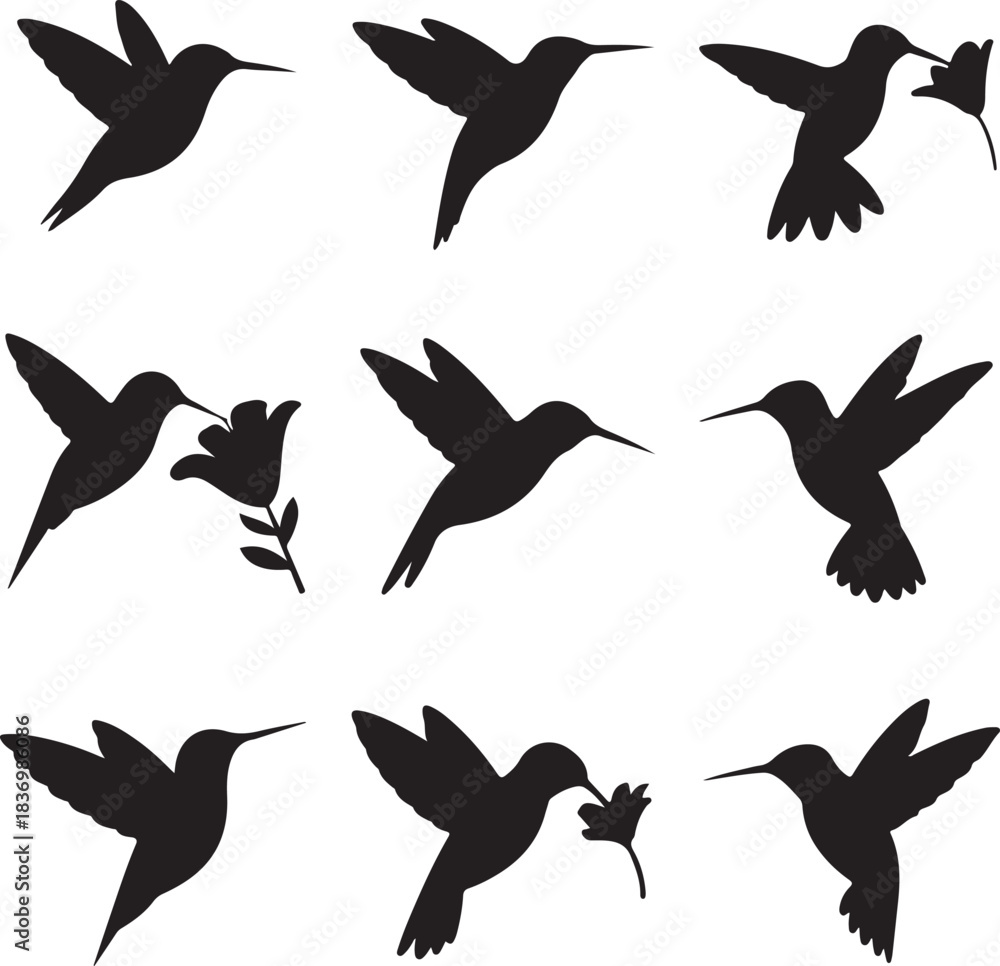 Fototapeta premium Elegant silhouettes of hummingbirds in flight and feeding on flowers