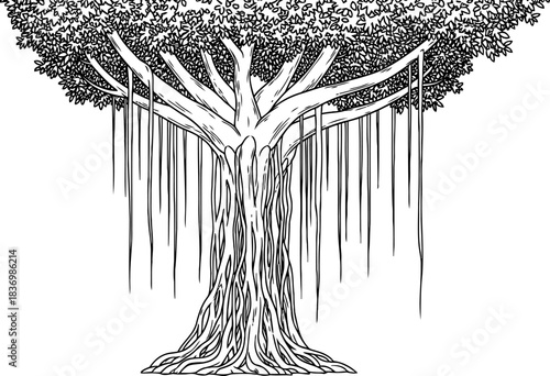 ancestral canopy earths ancient roots weave a tapestry of enduring spirit, isolated on transparent background