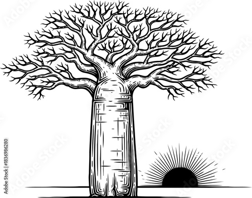 ancestral giant a baobabs enduring silhouette greeting infinite dawns, isolated on transparent background