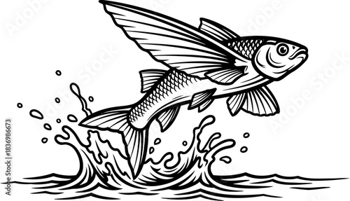 defying gravity the spirit of aspiration takes flight from the deep, isolated on transparent background