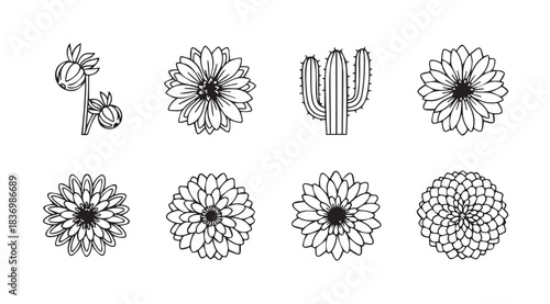 Hand drawn sketch collection of desert flowers and cactus elements for artistic design projects vector