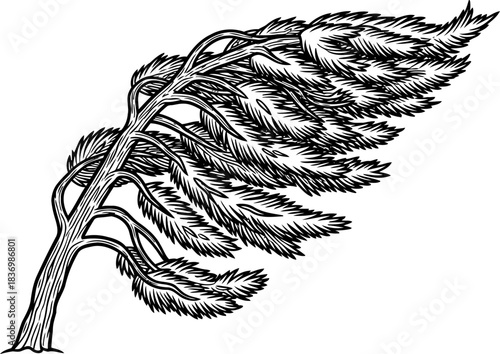 elemental force a stylized trees resilient dance against the gale, isolated on transparent background