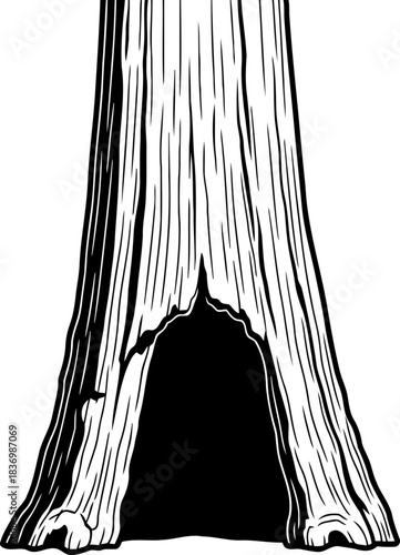 forest hearts refuge a timeless haven carved by natures hand, isolated on transparent background