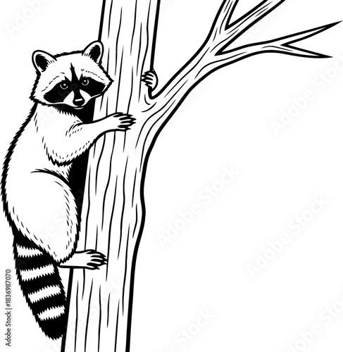 forest explorers embrace agile raccoon ascends in graphic silhouette, isolated on transparent background