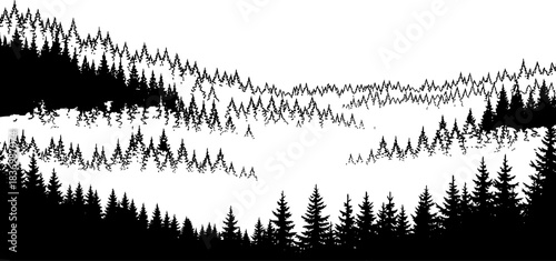 forest echoes a timeless silhouette of wilderness and untamed beauty, isolated on transparent background