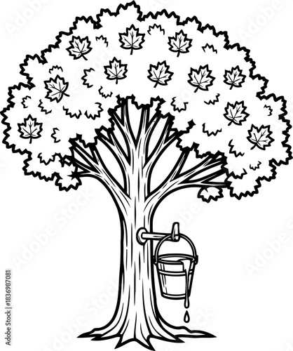 forests liquid legacy tapping sweetness from natures abundance, isolated on transparent background