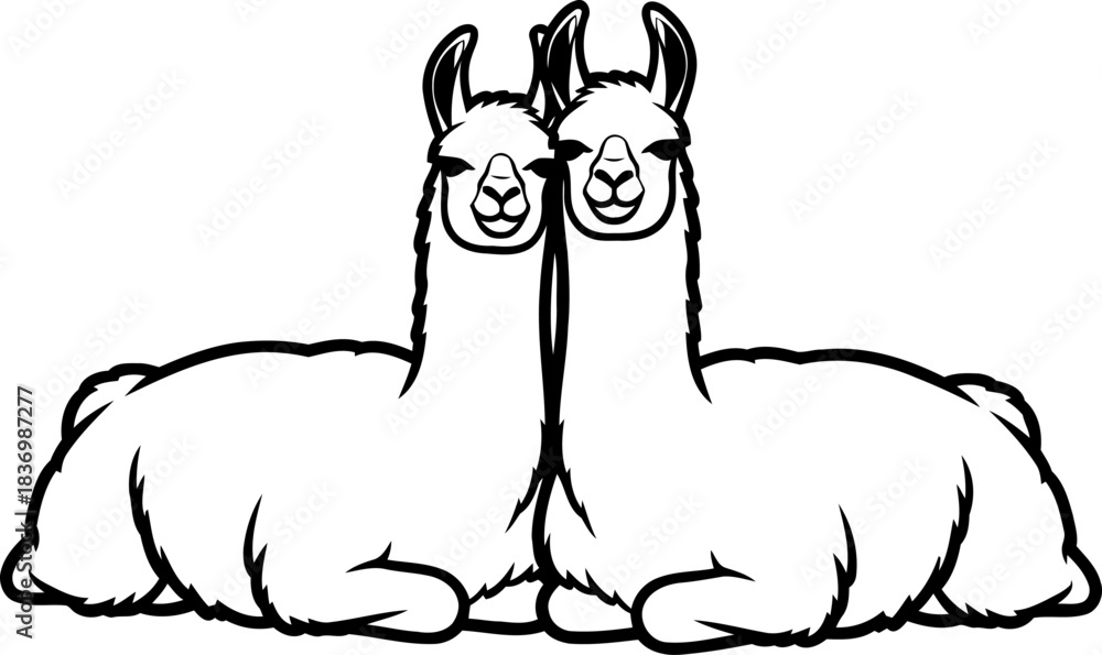 Naklejka premium highland harmony a paired outline capturing companionable spirit and gentle serenity, isolated on transparent background